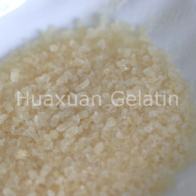 Pig Skin Gelatin for Hard Capsule