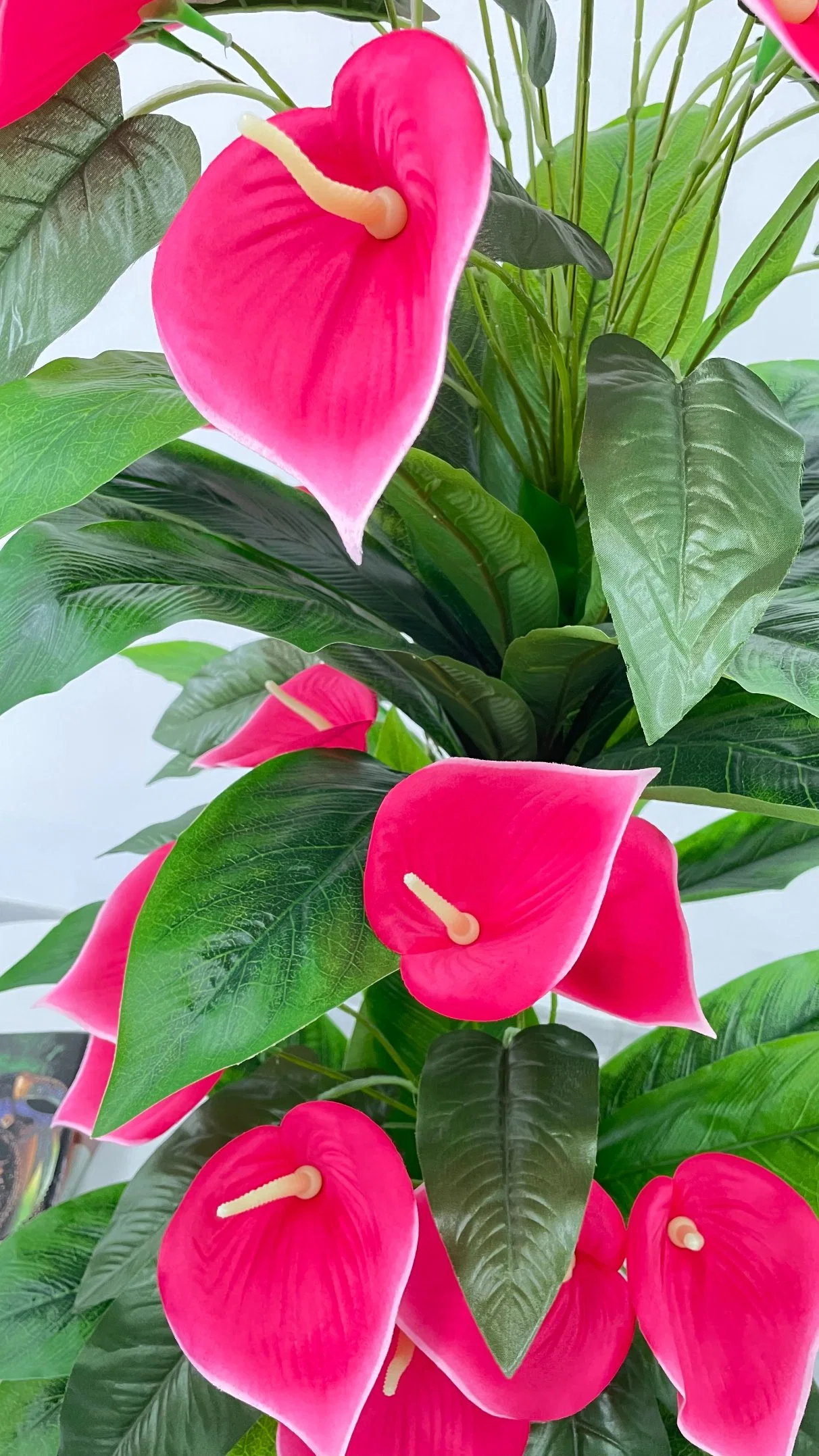 Plástico de la moda Double Dragon Huilan Lirio de agua puede ser personalizado, Artificial y plantas decorativas árbol Flor roja Rosa