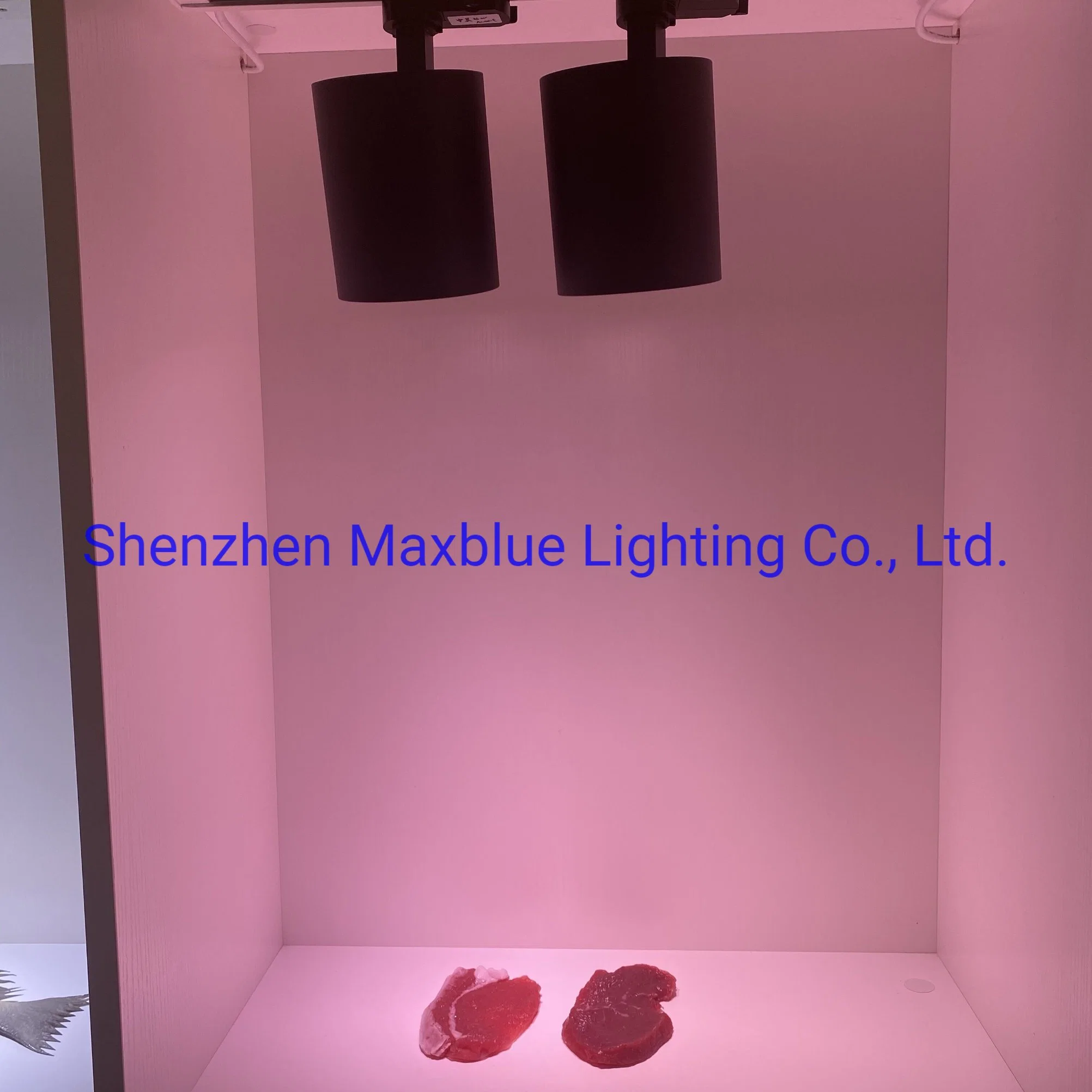 30W Fresh Color LED Track Light for Meat/Fish/Bread/Vegatable