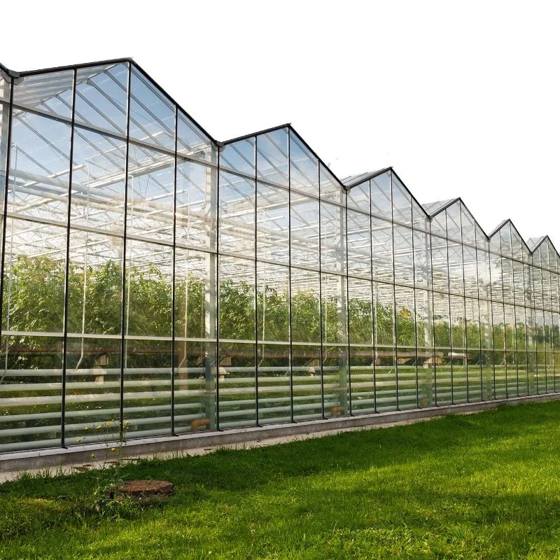 Advanced Agricultural Glass Green House with Automated Control System