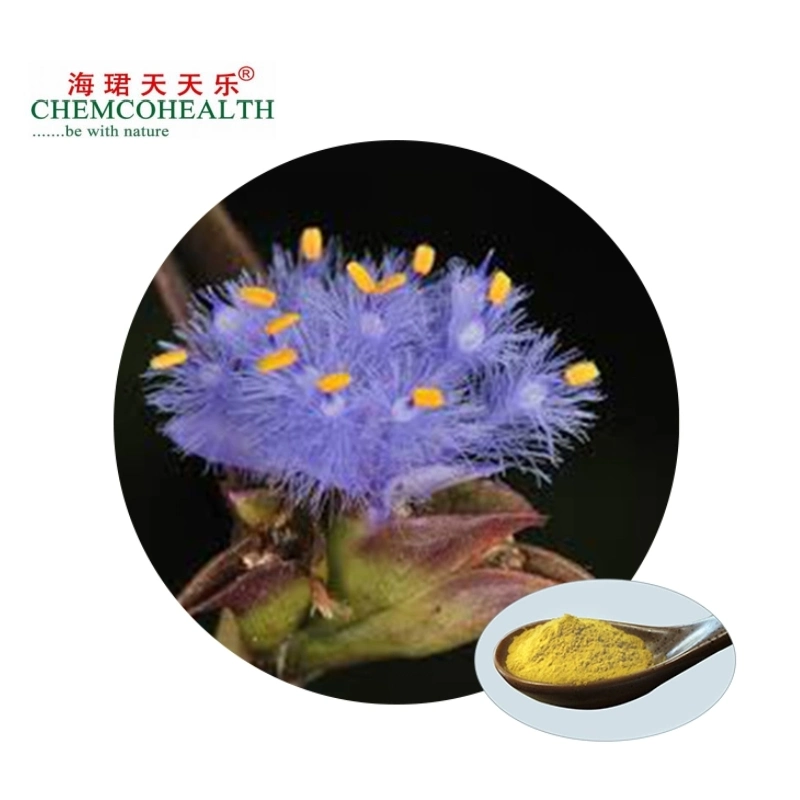 Purely Natural High-Concentration Ecdysterone Cobweb Cyanobacteria Extract