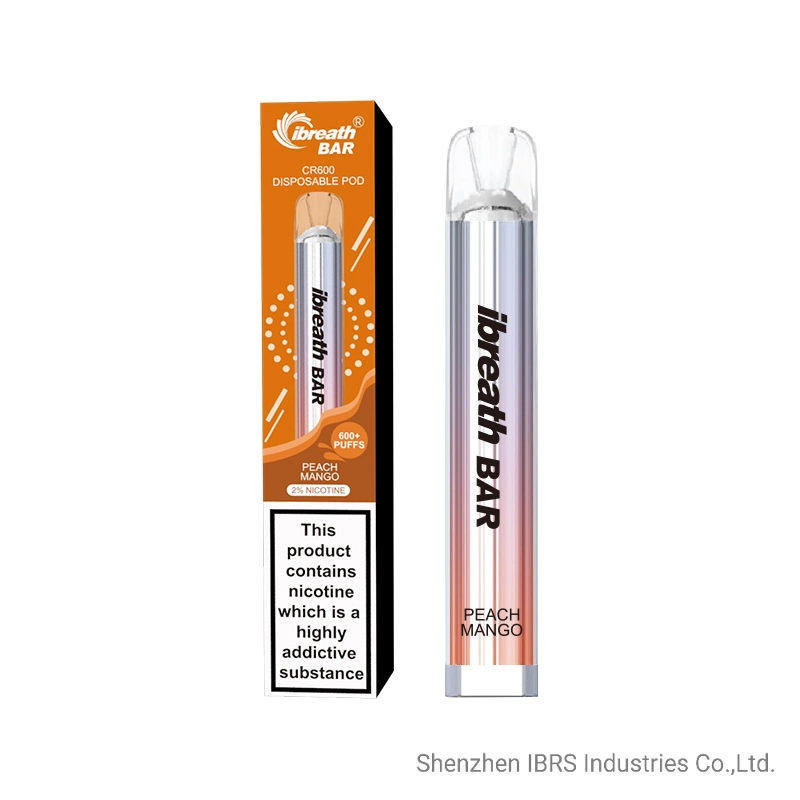 Wholesale Price 2ml E Liquid Mesh Coil Vaporizer E Cigarette Disposable Vape Pen with 600 Puffs