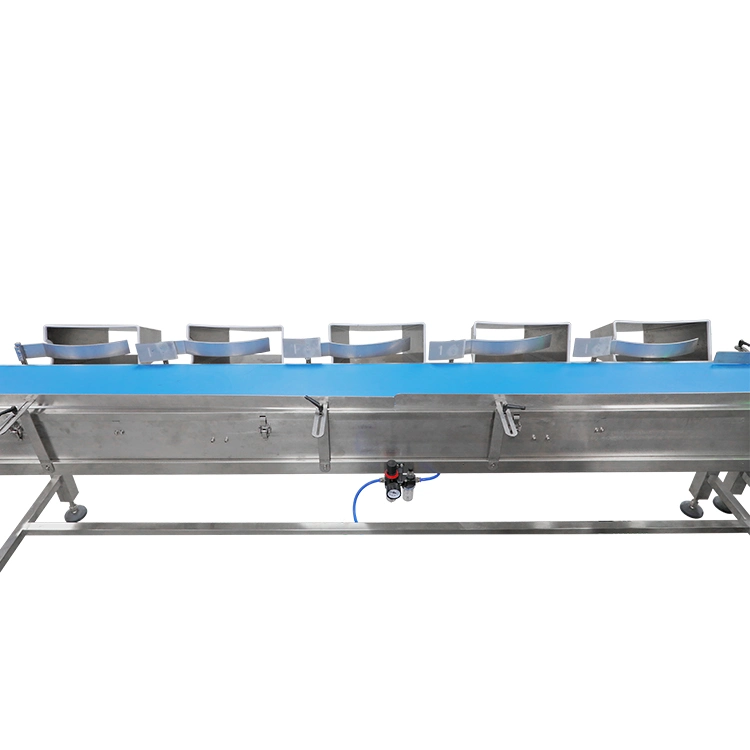 Online Digital Check Weigher Belt Conveyor Weight for Bottle Jars Cans Bag Production Line