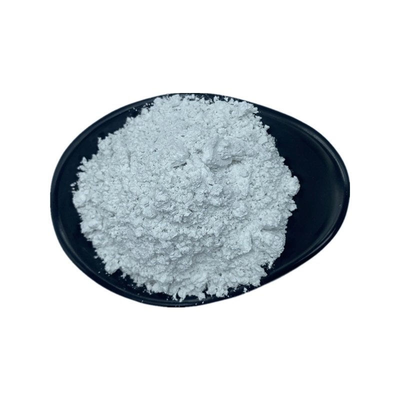 High Purity 99.99% Aluminum Oxide Al2O3 Powder Alumina Powder