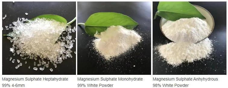 Factory Sales 99% Purity Magnesium Sulphate/Epsom Salt CAS: 10034-99-8