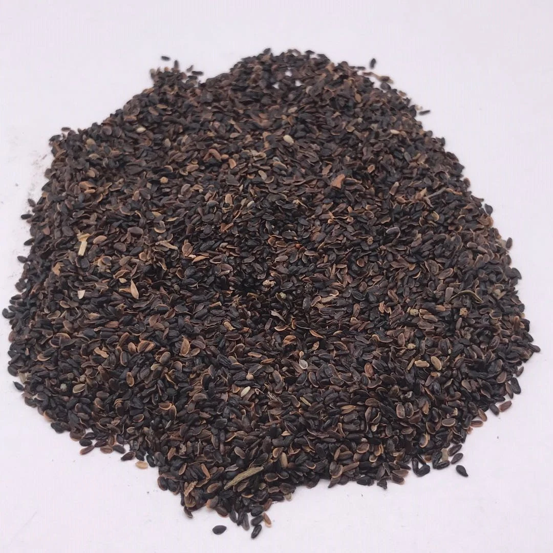 Jie Geng 100% puro de los productos sanitarios de las semillas de hierbas semillas Platycodon