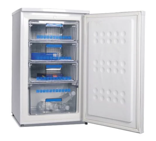 Congelador de porta única 101L sem frigorífico vertical com espuma compacta Porta BD-110