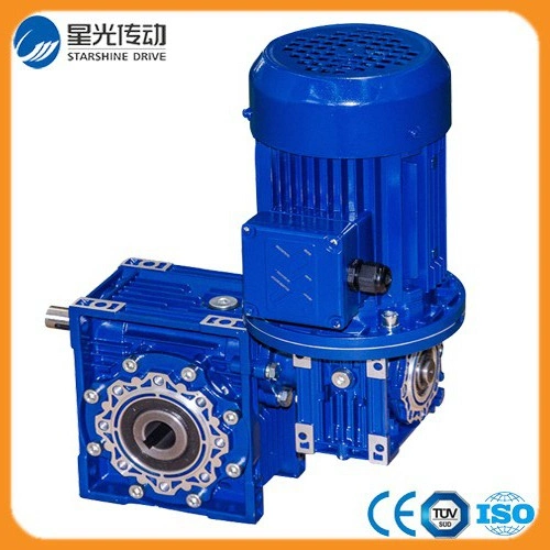 Worm Gearbox for Packing Line Transmission