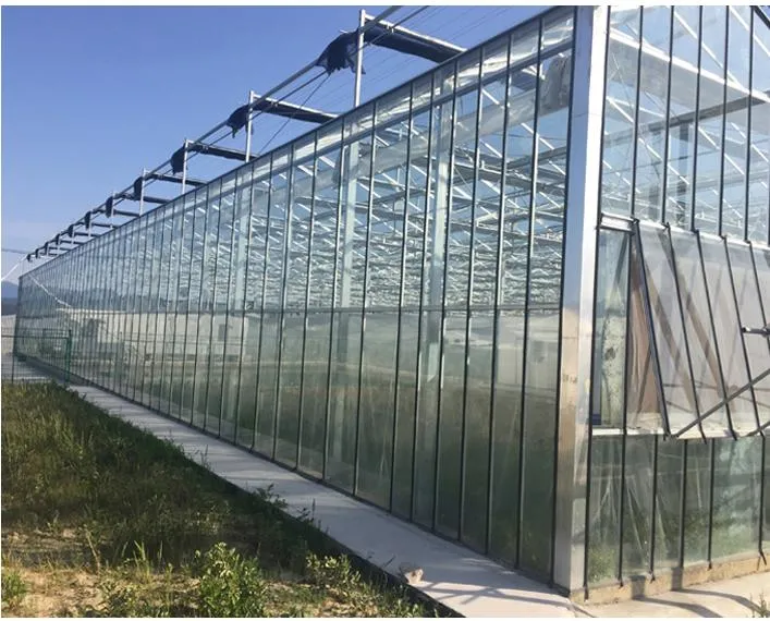 Low Cost Aquaponics Systeme Fisch und Gemüse Co-exist System Smart Glas kommerzielles Gewächshaus zum Verkauf