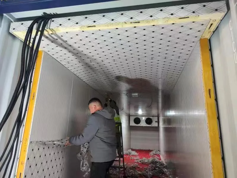 Container Cold Room for Frozen Food