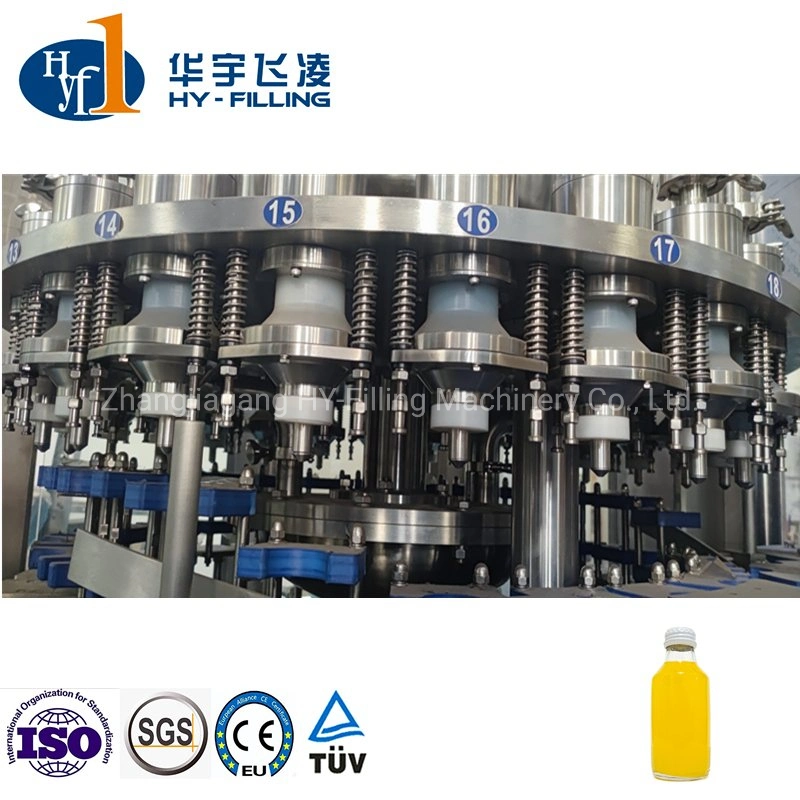 Hot /Warm Rotary Glass Bottle Beverage Juice Dairy Drink Bottling Rinsing Hot Filling Capping Machine Beverage Processing Machine