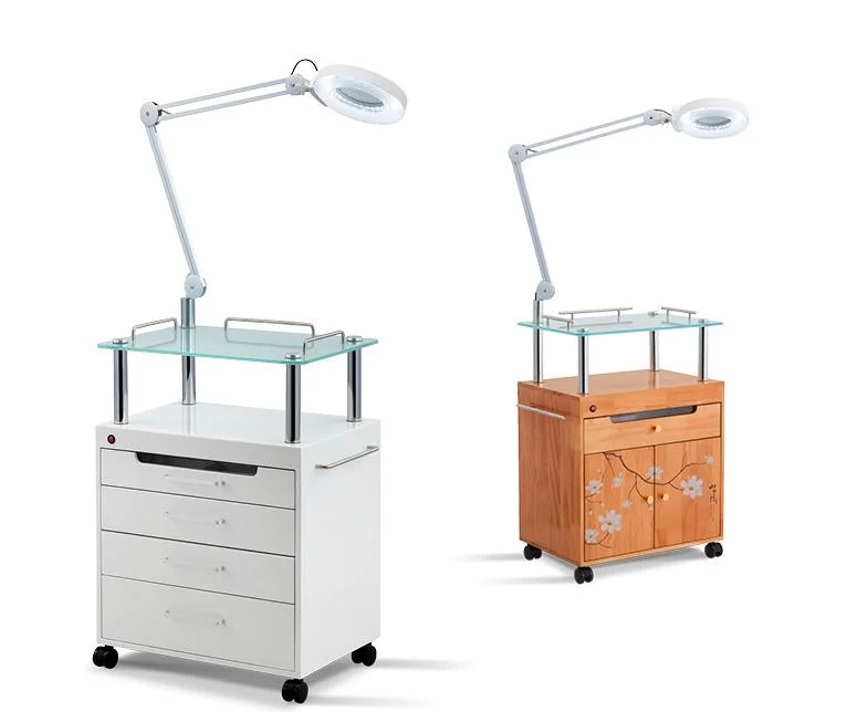 Hochey Medical Simple and Modern Hair Salon Shop Special Trolley Gold and Silver Stainless Steel Material