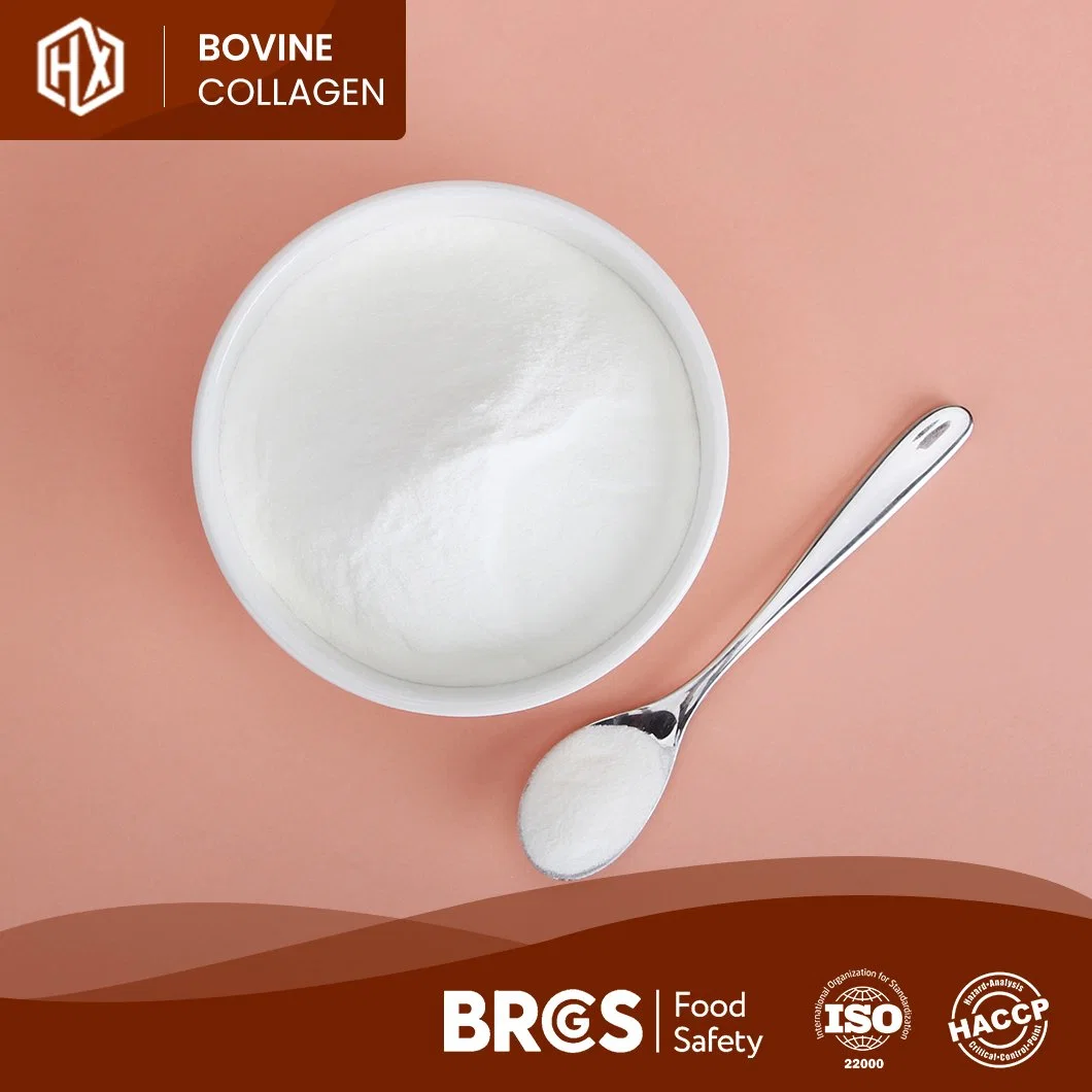 Haoxiang Bovine Bone Hydrolyzed Collagen Peptides Health Food Grade Cheap Price Protein Powder China Manufacturing OEM Custom Free Sample Collagen Powder