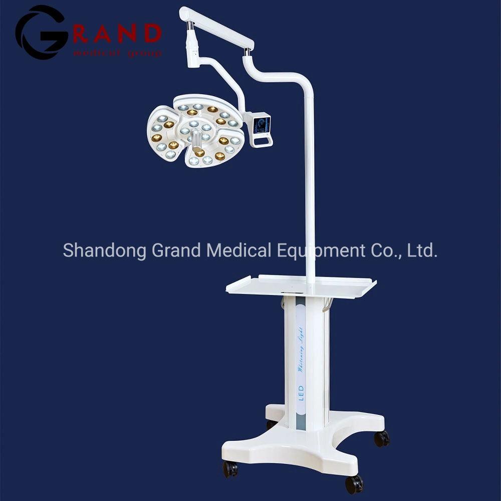 Hospital Equipment Shadowless 26 LED Lens Touchscreen Panel Sensor Dental Implant Surgery Operating/Operation Lamp