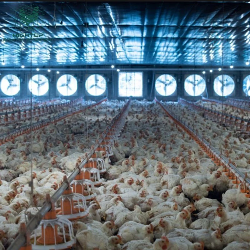 Vieh Geflügel Farm Huhn Haus Coop Automatische Pfanne Fütterung Und Trink-System Für Broiler Layer