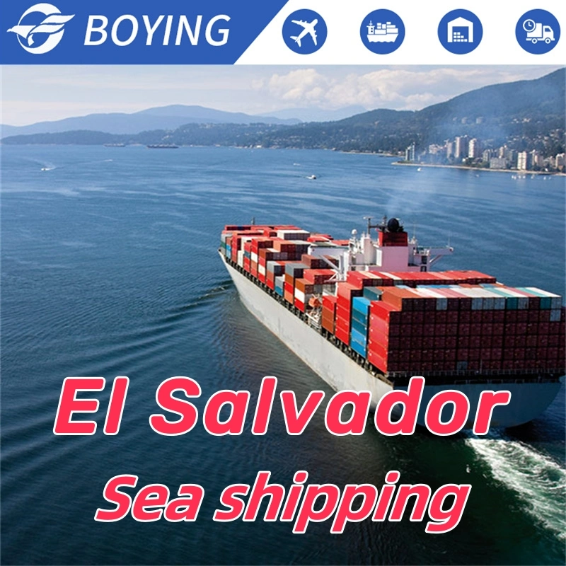 Reliable International Logistics Agent Shipping to El Salvador with Low Rates