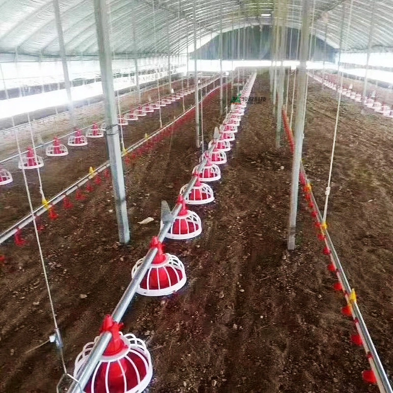 Chinese Farm Lyric Supply Poultry Farm Complete Set of Equipment
