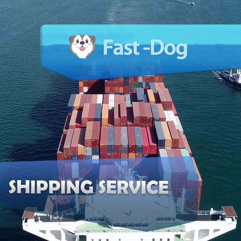 DDP bon marché Sea Cargo Services Tarifs d'expédition transitaire Expédié par Amazon De la Chine à l'agent logistique des États-Unis/Europe/Royaume-Uni/Canada