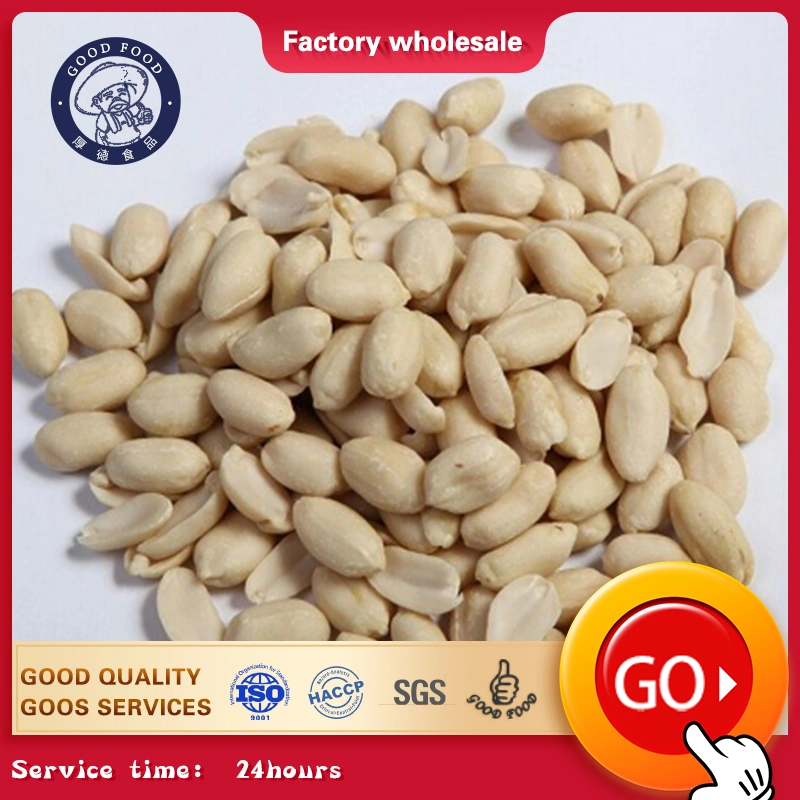 Wholesale High Quality AAA Grade Slip Blanched Peanut Kernels 25/29 with Cheap Price