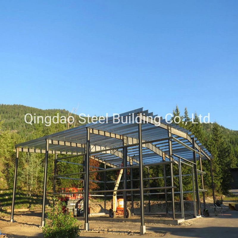 Prefab China Steel Structure Workshop Building/Steel Structure Commerical Warehouse with Best Price