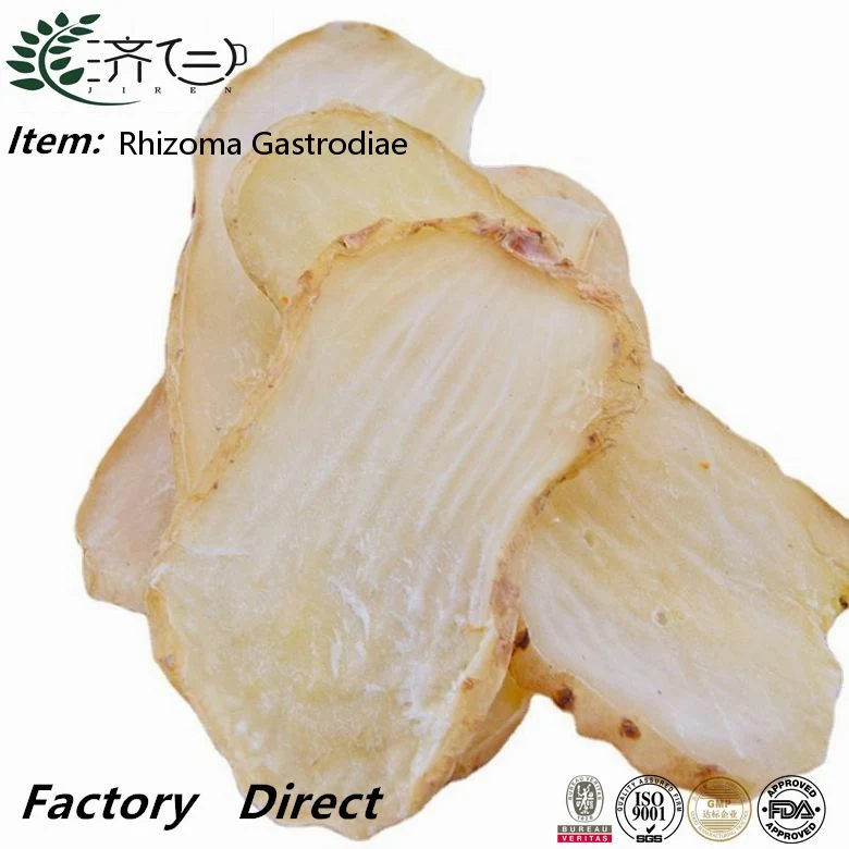 Tian Ma Mayoreo Hierbas chinas Gastrodia seca raíz de Rhizoma Gastrodiae Por el reumatismo