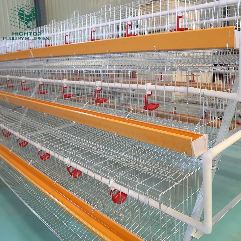 Hot Selling Poultry Raising Equipment Layer Chicken Cage For Laying Hens