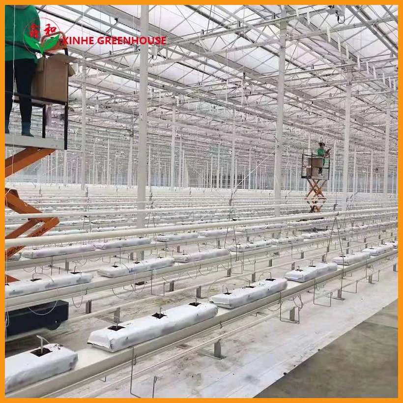 Xinhe Customized Nude PVC Planting Nft Growing Systems Hydroponic System