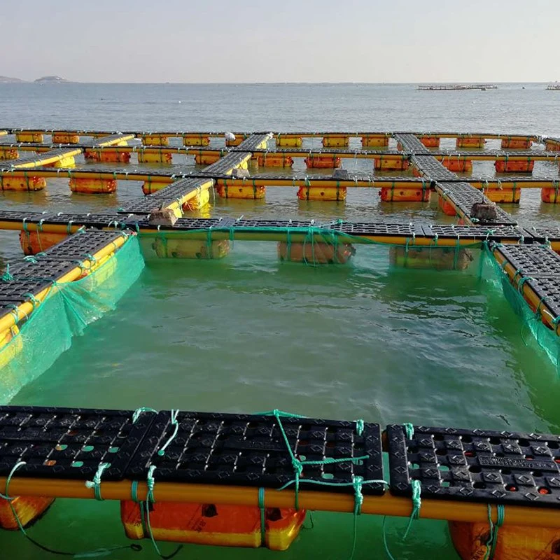 New Style Schwimmende Zucht Fisch Landwirtschaft Käfig Ohne Handläufe