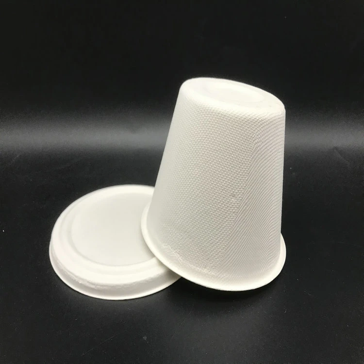 Disposable Compostable Sugarcane Bagasse Cup with Lid 500ml 17oz