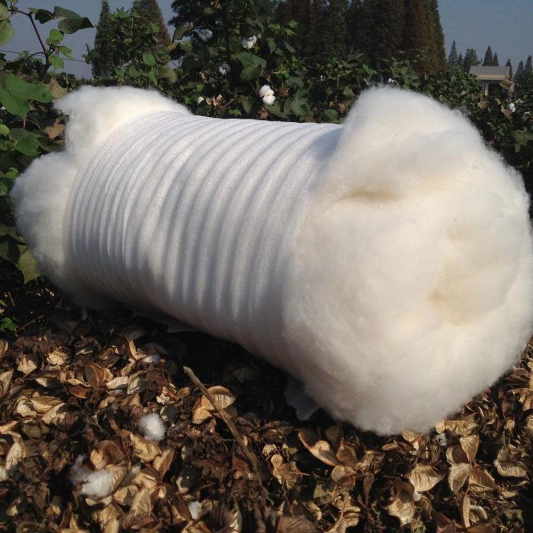 Raw Cotton Fiber/Cotton/Cotton Fiber