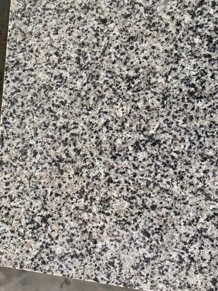 China Georgia Grey/Sesame Black Granite Tile with Flamed for Wall Building