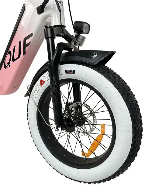 Queene bon marché gamme 750W poussière hors route E Bike 20 po FAT tire Mountain suspension complète vélo électrique autre vélo