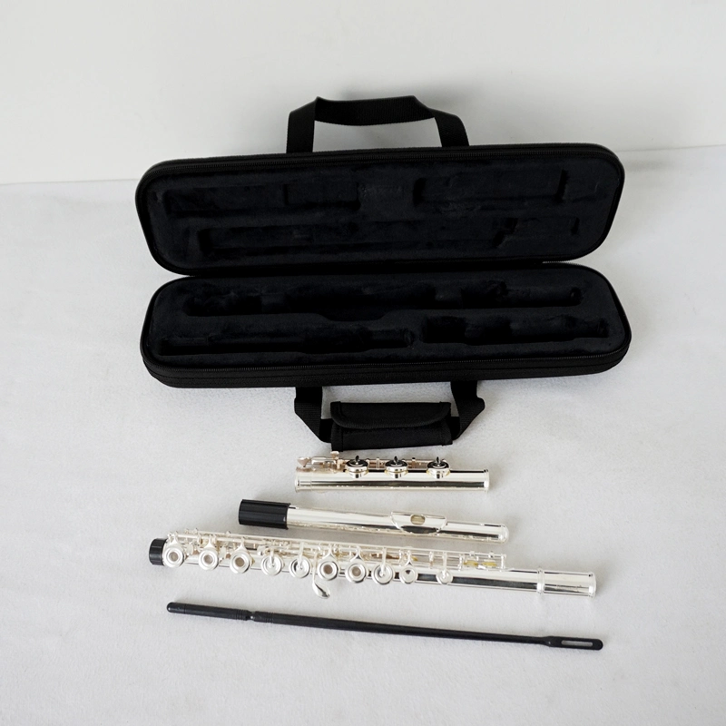 Wholesale/Supplier Price Custom Brand Nickel Finish 17 Holes Flute Brass Instrument