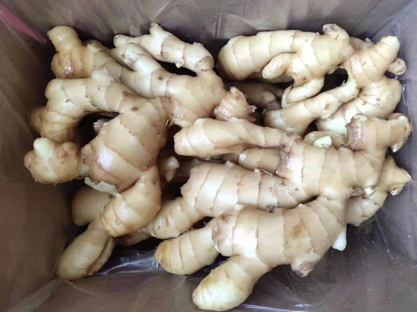 Bset Quality Air Dry Ginger From China