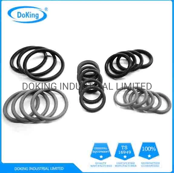 Nok NBR Rubber O Ring Viton Seal for Industrial Equipment Mechanical Sealing