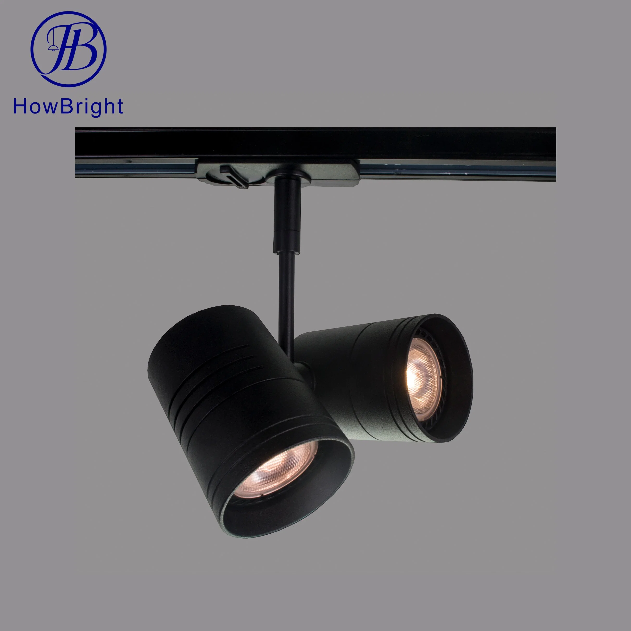 How Bright GU10 Adjustable Museum Spotlight Double Head Track Light for Gallery and Restaurant