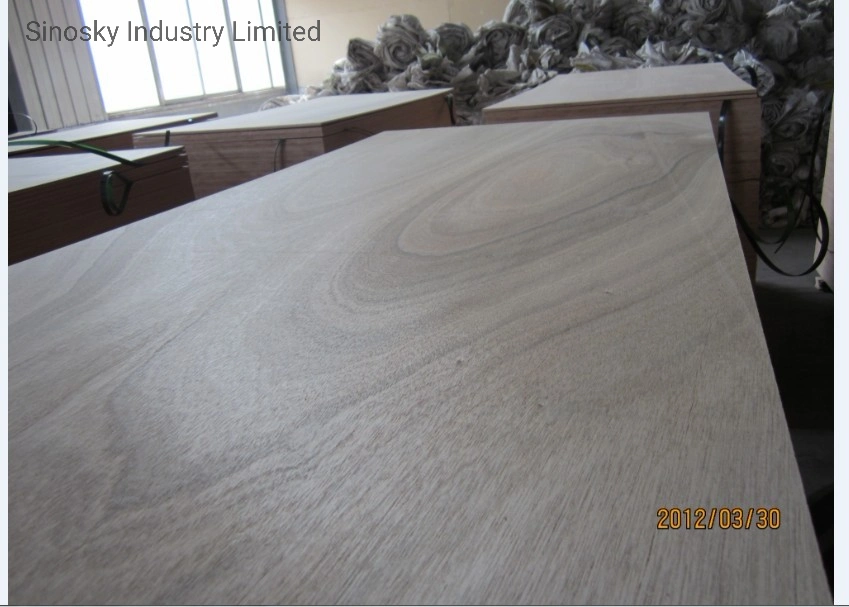 Poplar Core Plywood, South America Market Plywood, EV Plywood, Two Times Plywood