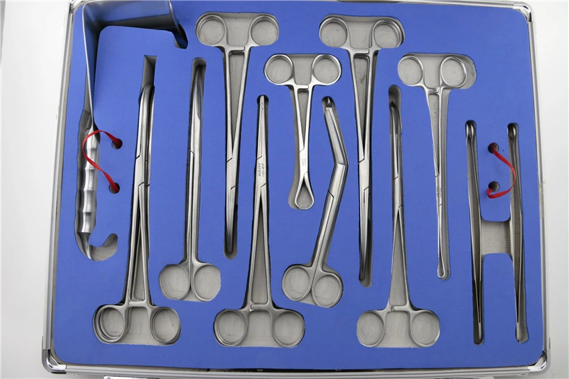 Ssf-1 Medical Gynecology and Obstetric Instrument Kit Caesarean Instrument Set