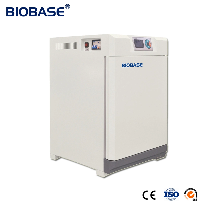 Biobase China Bacteriological Thermostat Incubator Bjpx-H160 Stainless Steel Electric for Laboratory