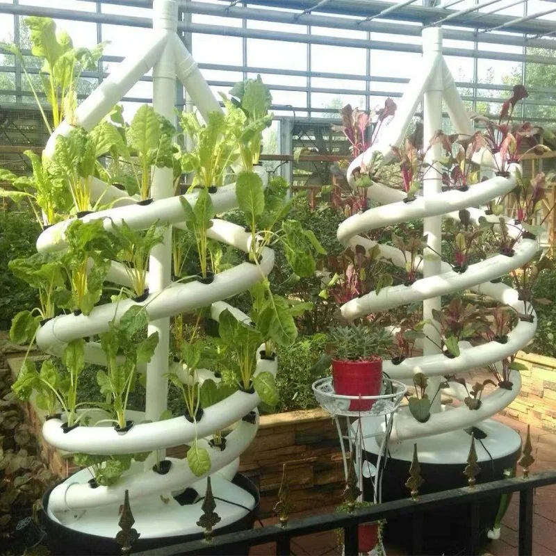 Low Cost Complete Hydroponics Growing System for Soiless Cultivation