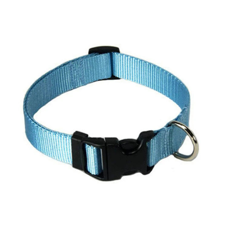 Factory Direct Sale Nylon Dog Collar with Metal Buckle