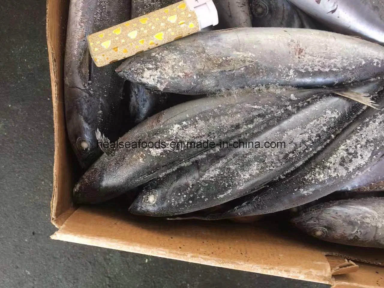 Chinese Sea Frozen Bonito Price (200g)