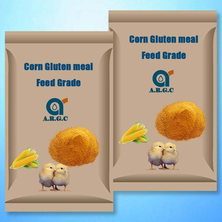 Low Price Gluten Meal 60% From Protein for Poultry