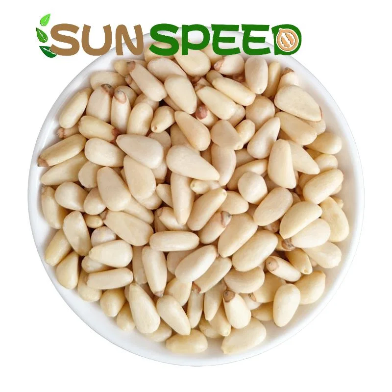 Оптовые продажи Новые культуры Top Quality Pine Nuts Здоровые Пища сушеная Кедр Пиненут