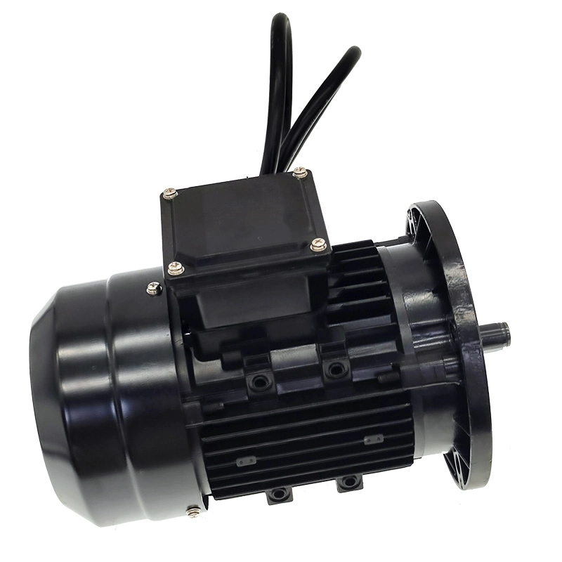 High Power Fan Heat Dissipation 36V 1500W 1500r Brushless DC Motor BLDC Motor Tricycle Battery Car Professional Motor