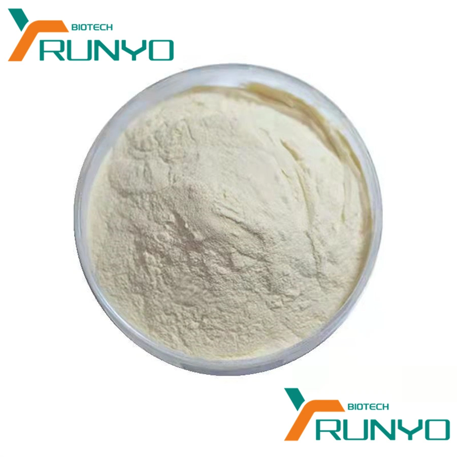 Food Grade Additive Powder CAS 11138-66-2 Xanthan Gum in Baked Foods Increase Water Retention, Meat Products, Thickener, Used in Jelly and Candy Processing