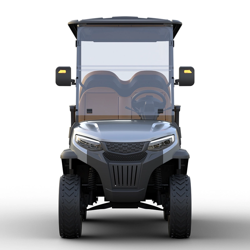 &amp; Gt; 30 Km/H CE Approved OEM Brand 20units/40hq 3units/Crate Buggy Golf Car