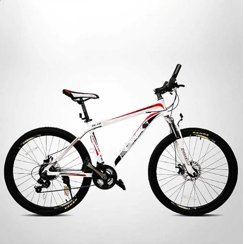 Bicycle Factory Shimano 24 Speed Aluminum Alloy Mountain Bike