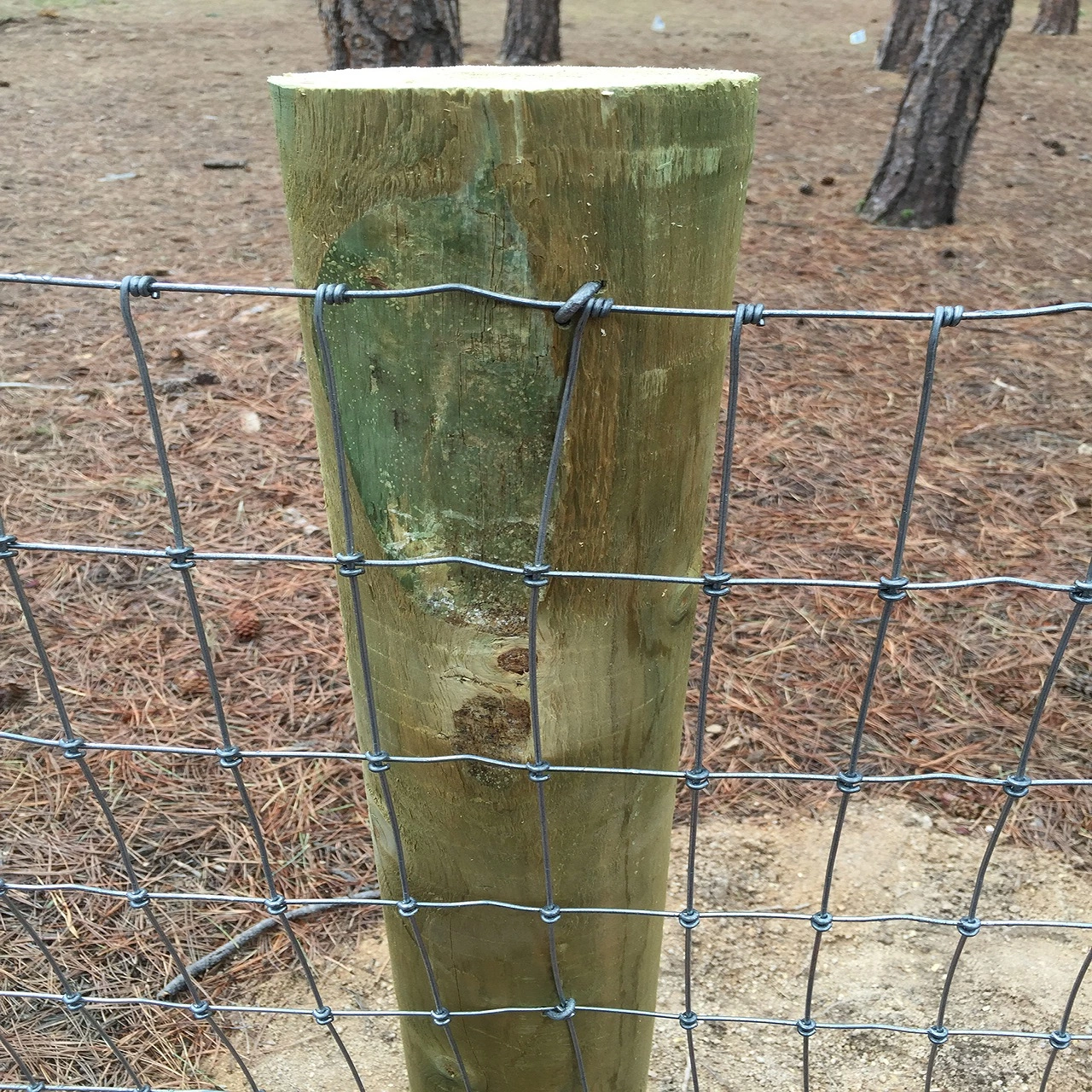 8ft Hochspannungs-heiß getaucht Verzinkt graduiert fest Knot Hirsch Zaun Grasland oder Feld Rinder Schafe Ziege Kreuz Lock Net Fechten/Wildfechten/Tight Lock Zaun