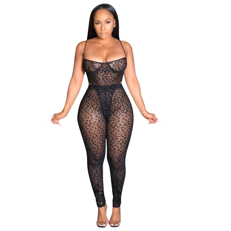 Hot Sale Sexy Transparent Nighty Fishnet Stockings Girls Lingerie